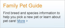 Family Pet Guide